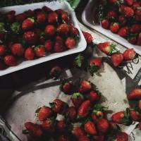 strawberries
