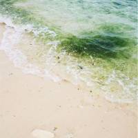 seawater