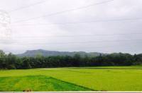 hello nature, green, mountain, sibonga