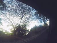 Stolen Picture, at Sibonga