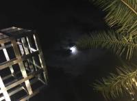 Shy moon, oh well 