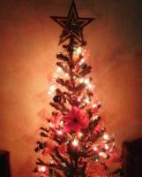 Old, tree