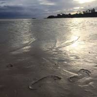 sands, footprints