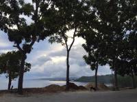beach, please, wonderful, view, nature, loves