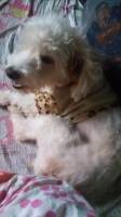 cutie love