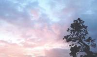 Pink, sky
