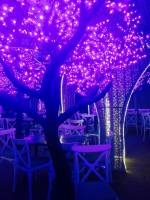 Lavender, lights, tree