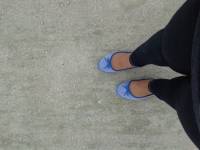 Blue starfish