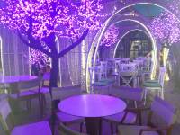 Lights