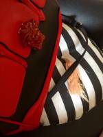 Red, rose