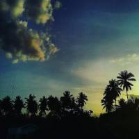 Stunning, afternoon, in, the, province