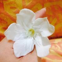 A flower blossoms, for its own joy
