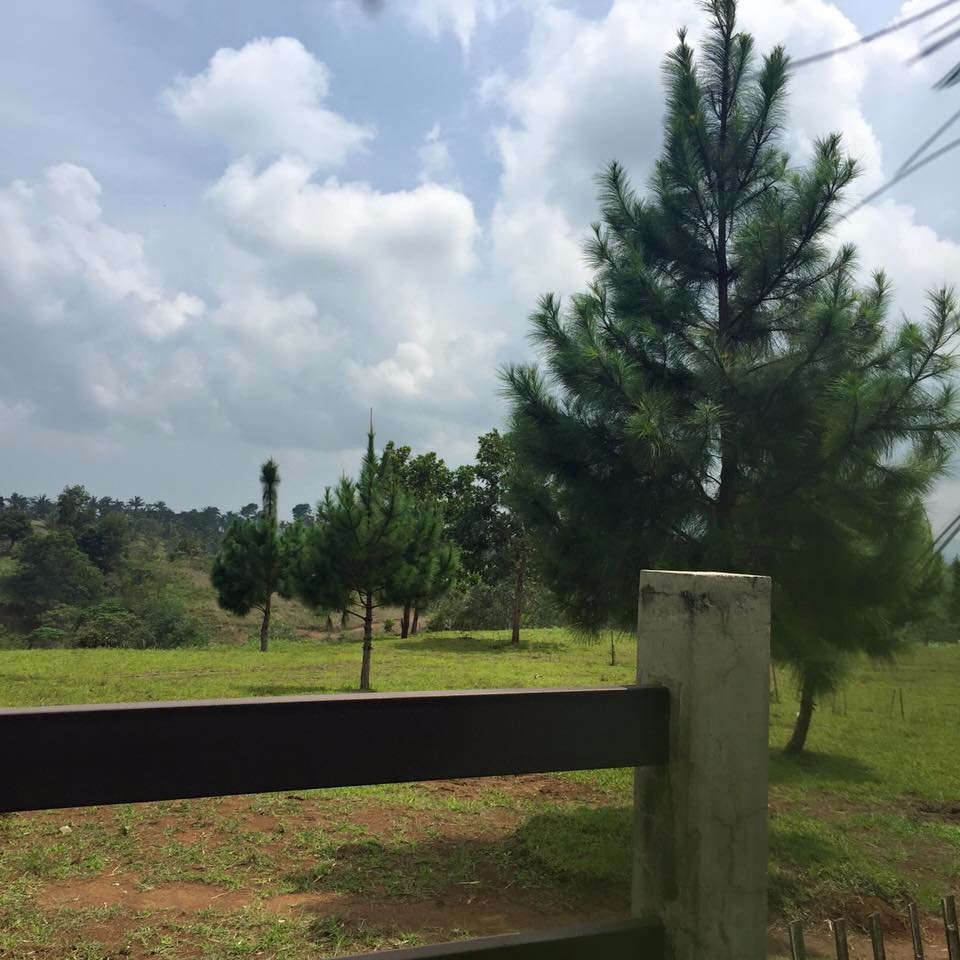 views. like, this, happy, lovin, nature
