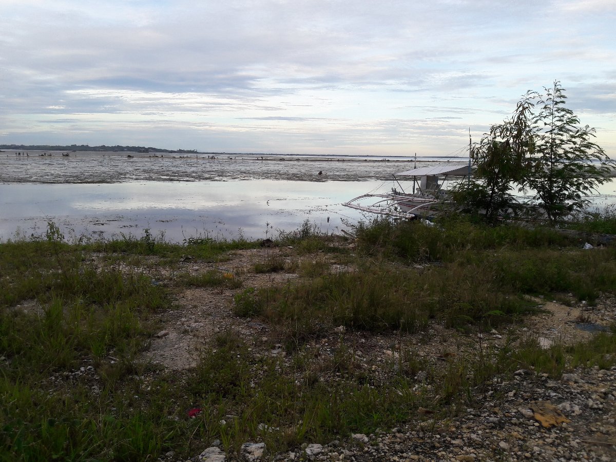 Beach , strolling