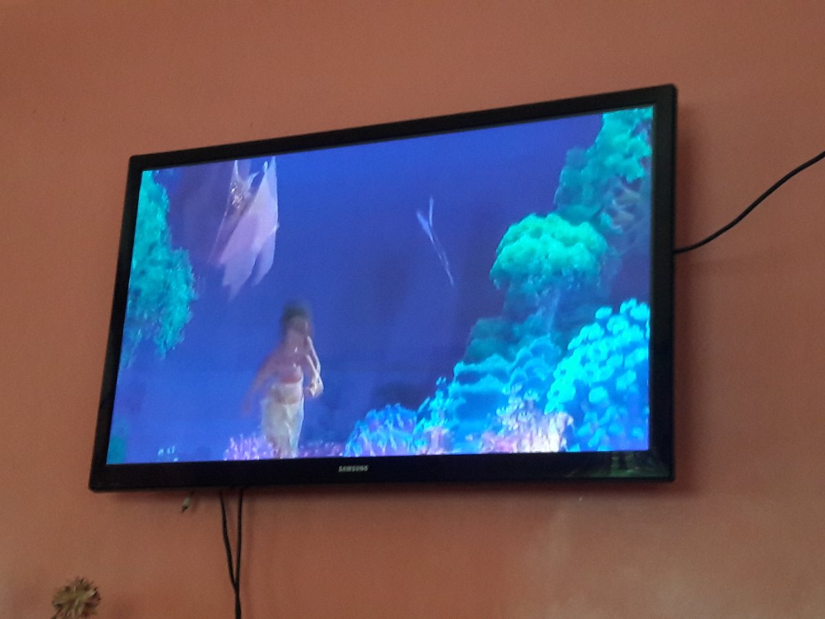 Movie marathon, moana, past time