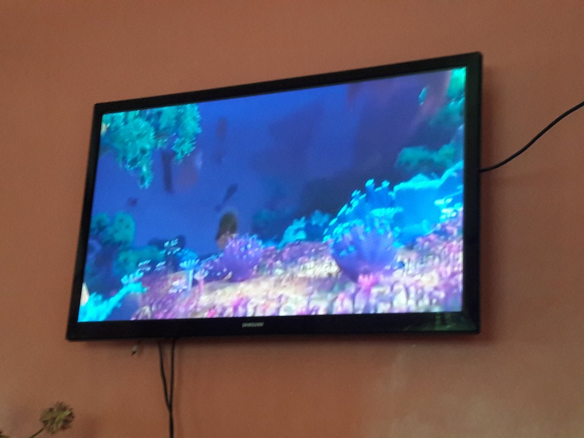 Movie marathon, moana, past time