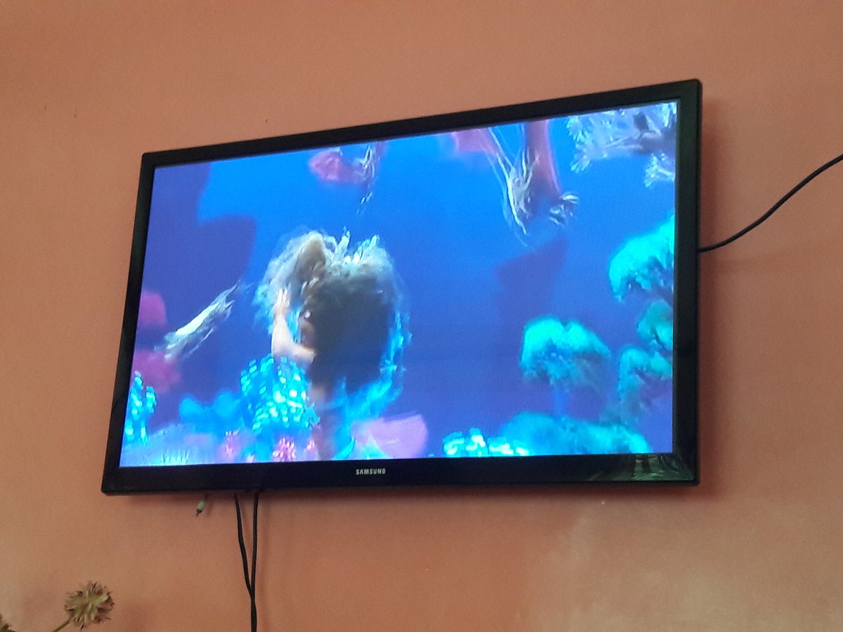 Movie marathon, moana, past time