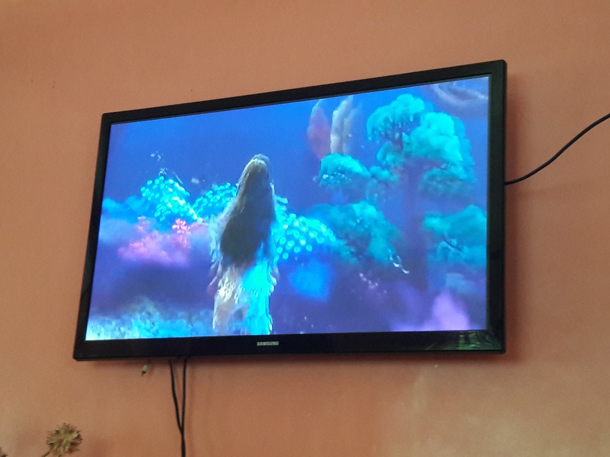 Movie marathon, moana, past time