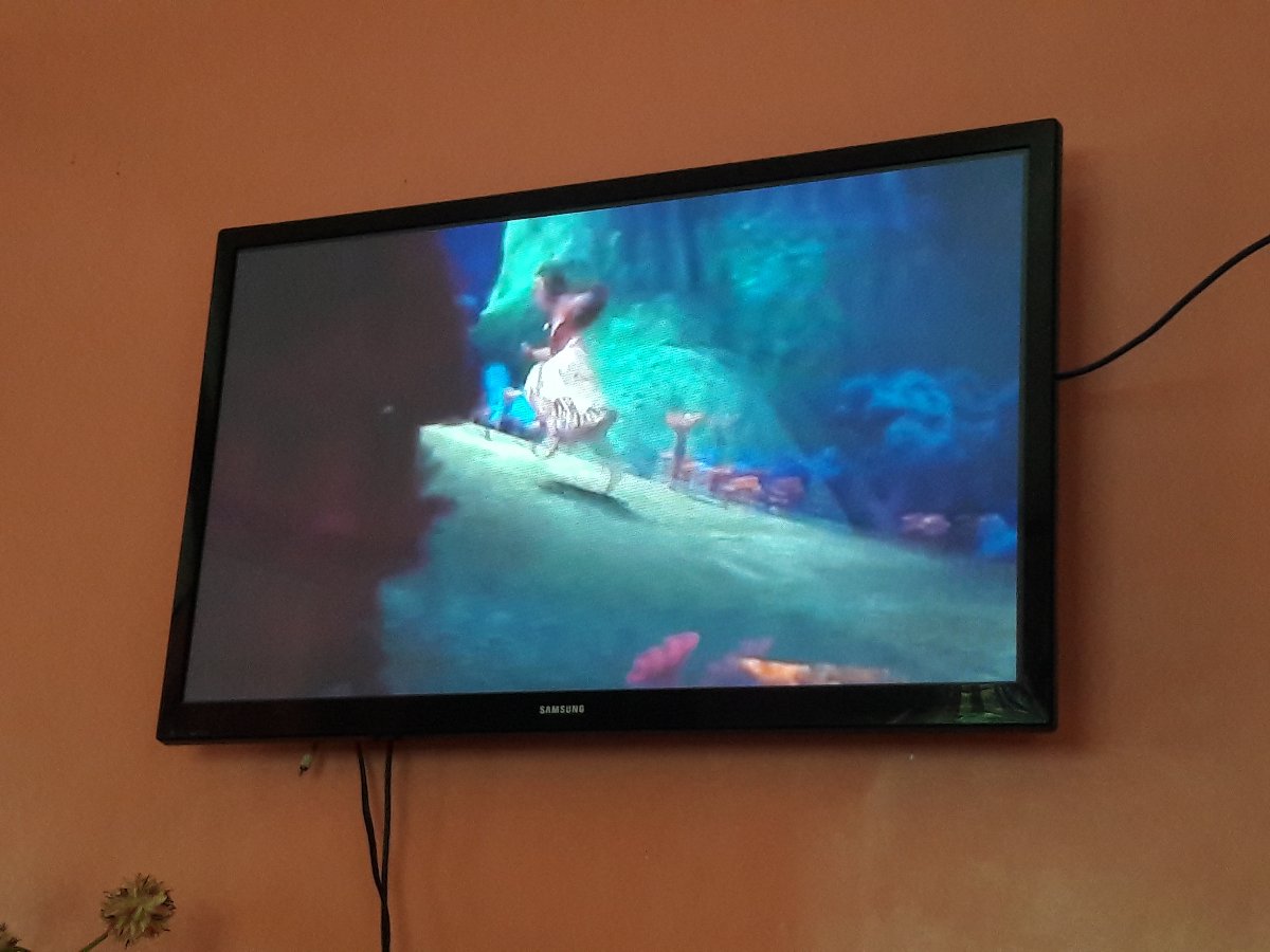 Movie marathon, moana, past time