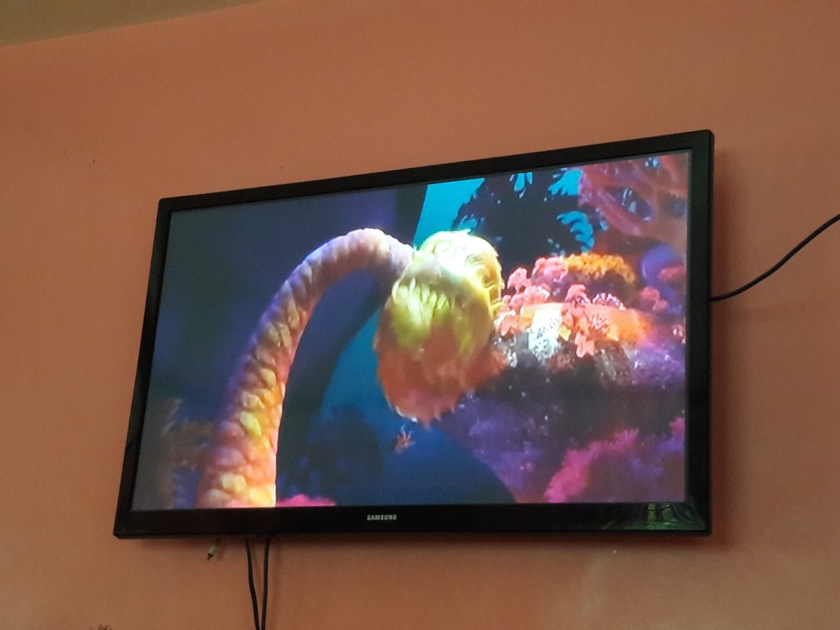 Movie marathon, moana, past time