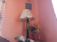 Plants, lamp