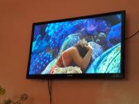 Movie marathon, moana, past time