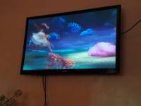 Movie marathon, moana, past time