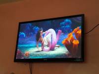 Movie marathon, moana, past time