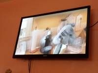 Movie , enchanted