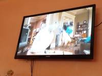 Movie , enchanted