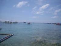 Oslob, whale watching, tumalog falls