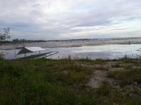 Strolling by the sea