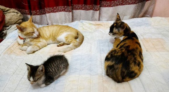 Having their leisure time
