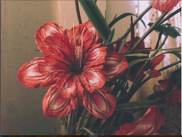 beautiful