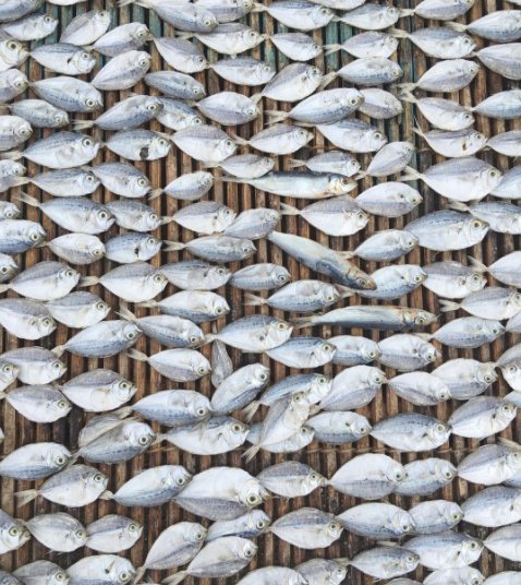 dried fish