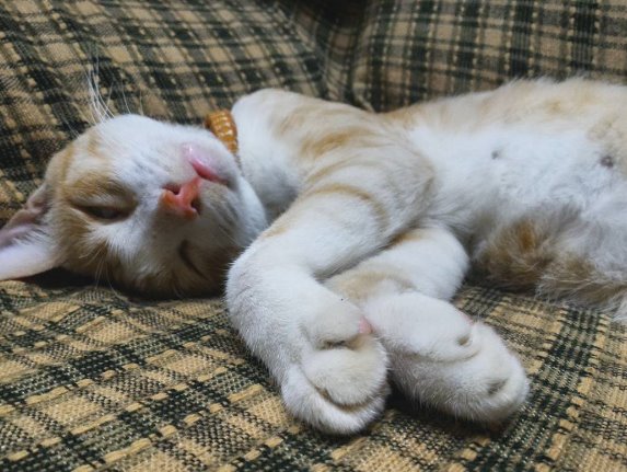 hangover be like