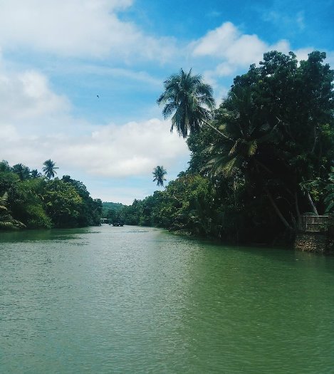 loboc river