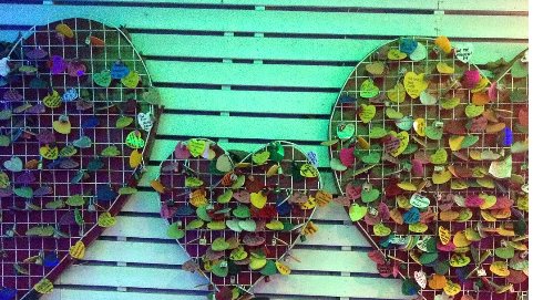 lovely day
