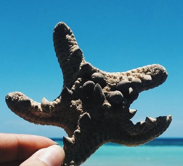 patrick