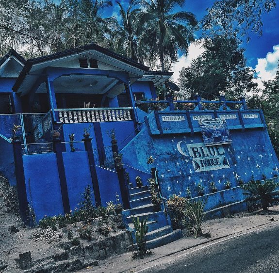 the Blue House