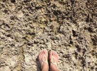happy feet