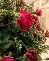 pink roses