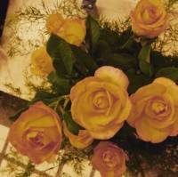 another yellow and red flowers