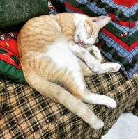 Someones been really tired playing all day long