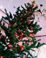 giaaant christmas tree