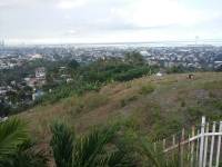 the view