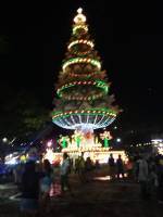 Giant Christmas Tree