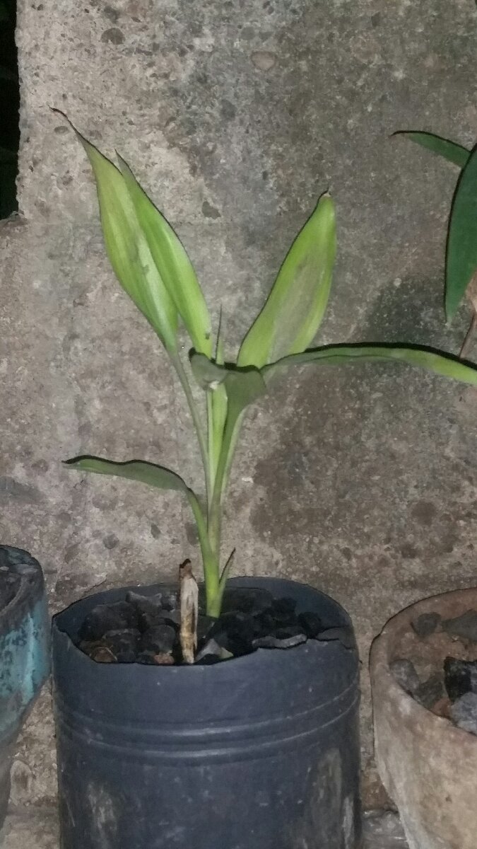 #nature #6