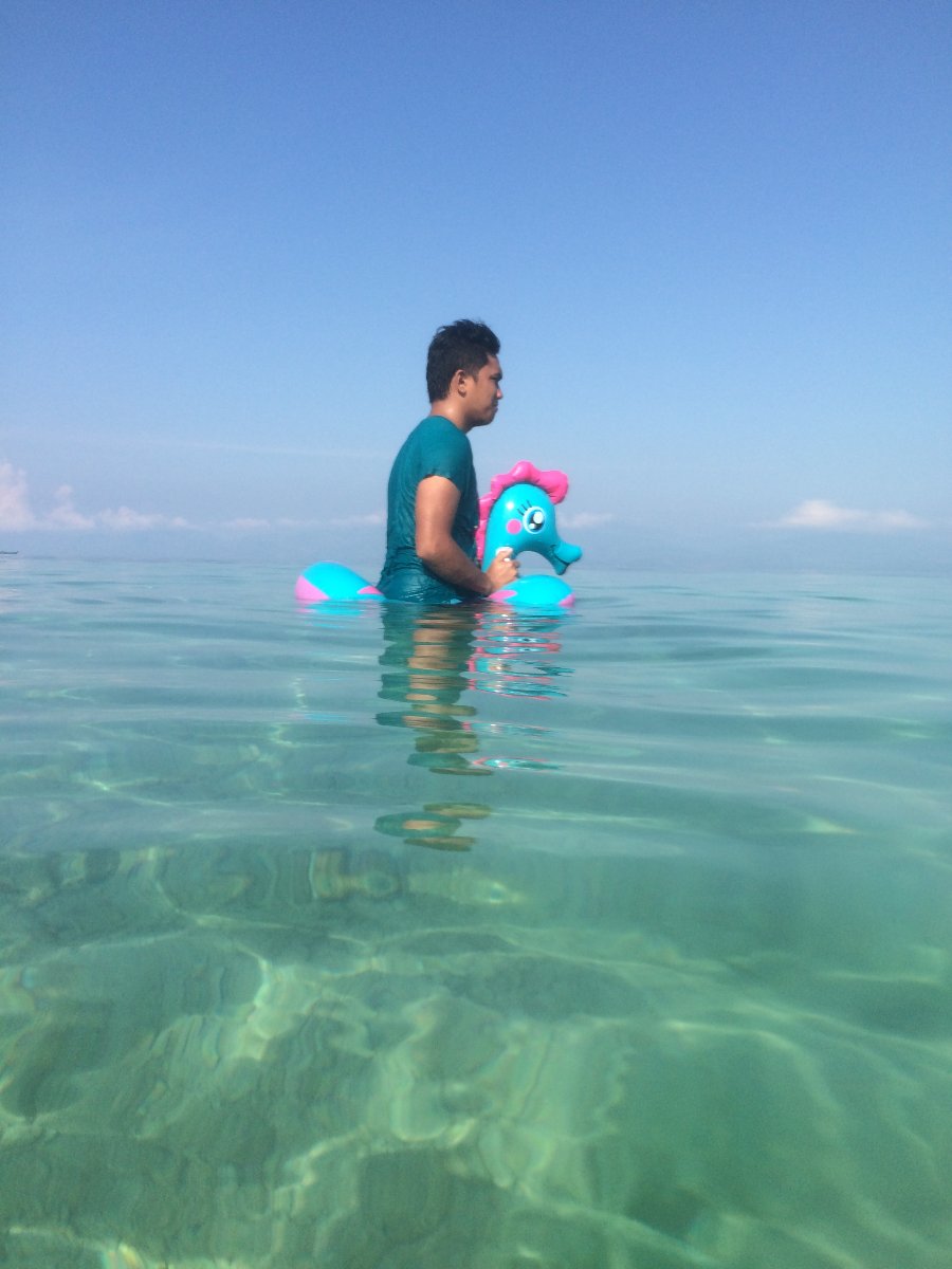 Beach, fun, seahorse