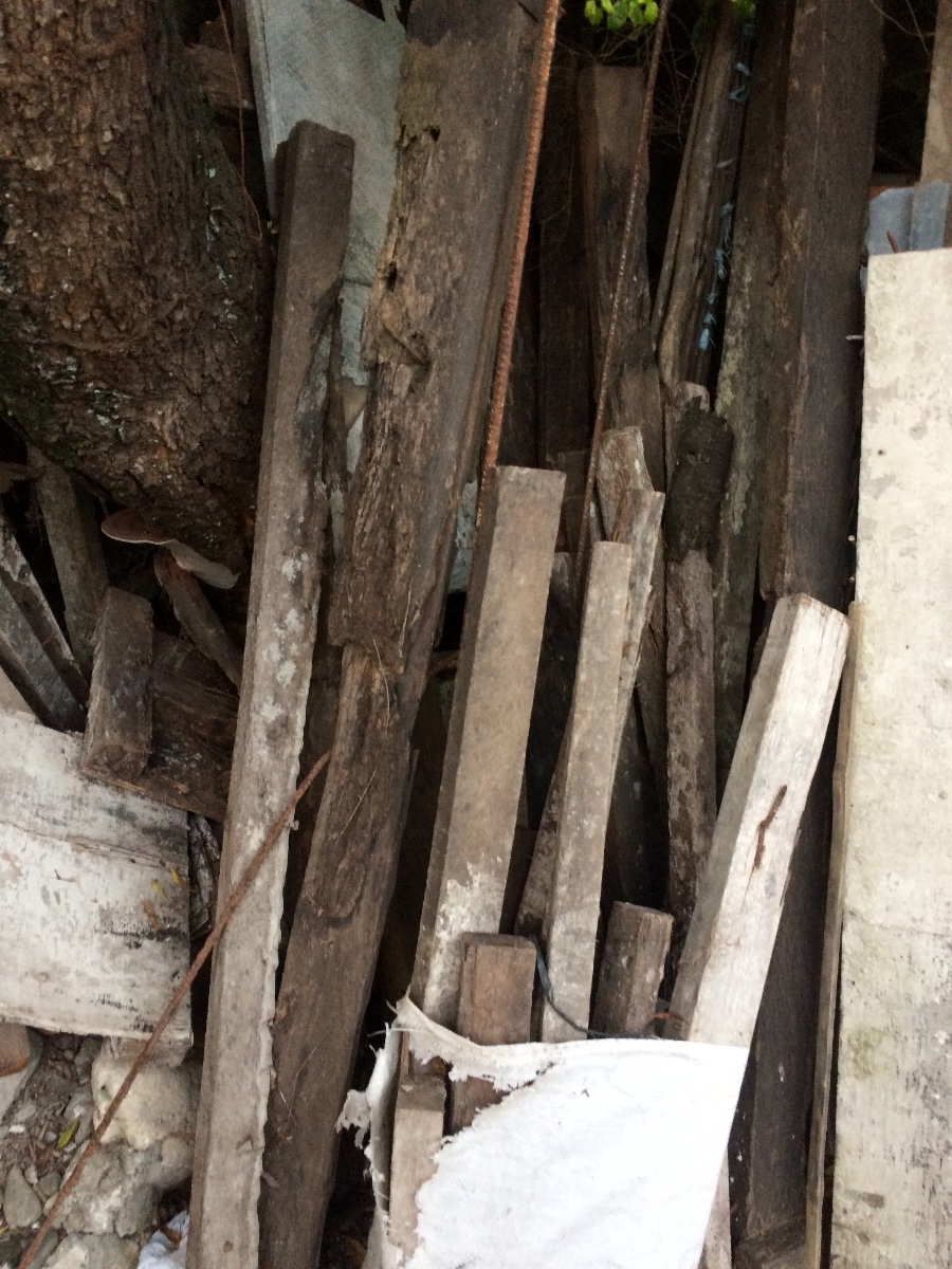 Pile of wood